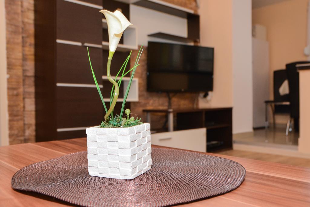 Apartment Ruza คลาโดโว ภายนอก รูปภาพ
